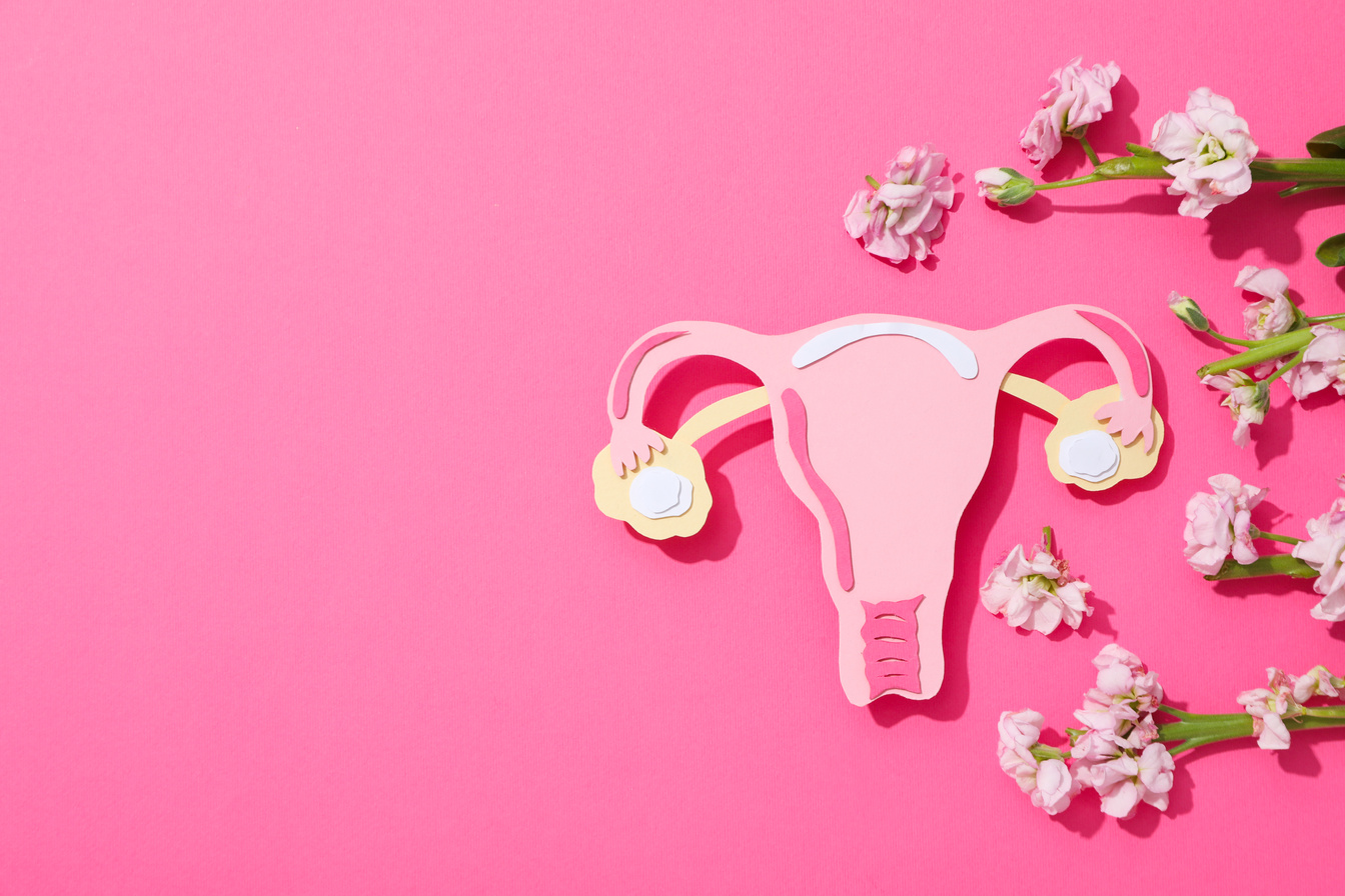 Women's health and women's healthcare concept with uterus